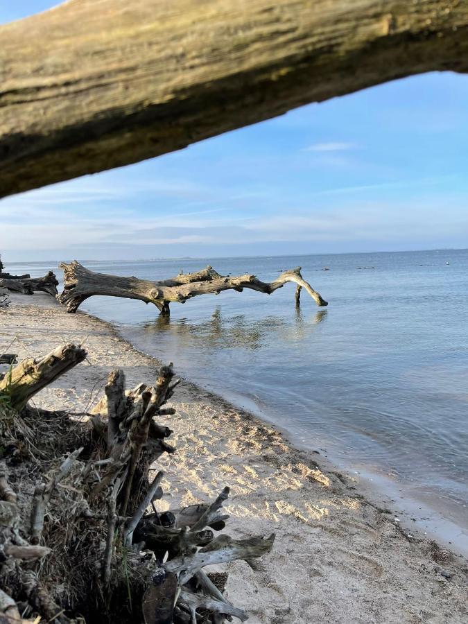 Urlaub Nahe Der Peene Naehe Der Ostsee Rustow Bagian luar foto