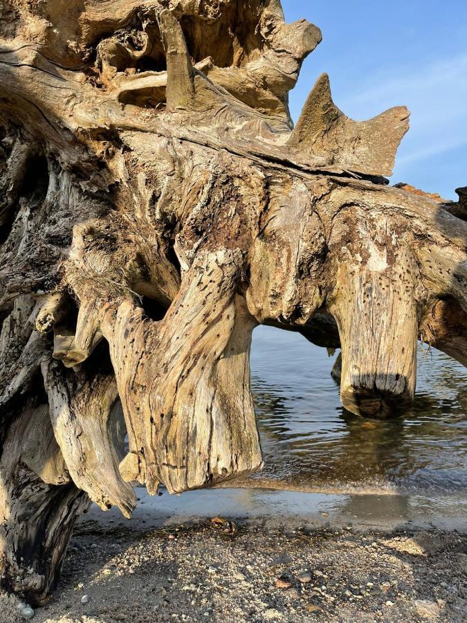 Urlaub Nahe Der Peene Naehe Der Ostsee Rustow Bagian luar foto